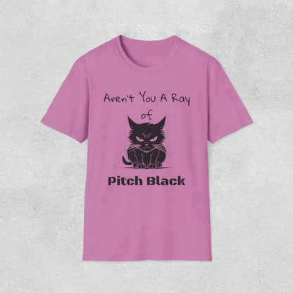 Aren't You A Ray of Pitch Black Cat T-Shirt