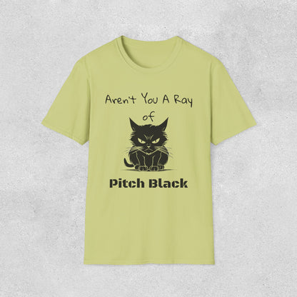 Aren't You A Ray of Pitch Black Cat T-Shirt