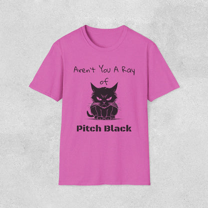 Aren't You A Ray of Pitch Black Cat T-Shirt